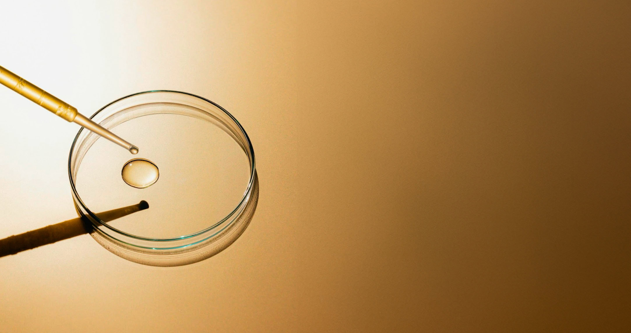 a dropper placing liquid on a petri dish